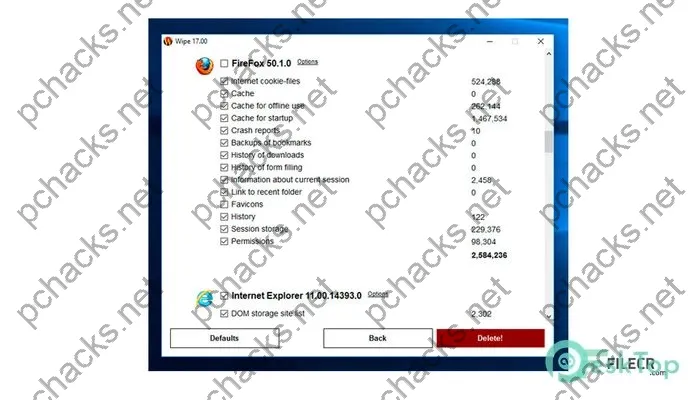 Wipe Professional Activation key 2024.03 Free Download