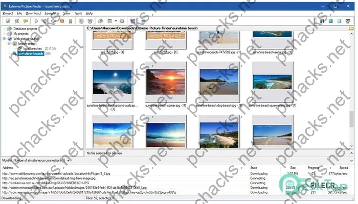 Extreme Picture Finder Crack 3.66.5 Free Download