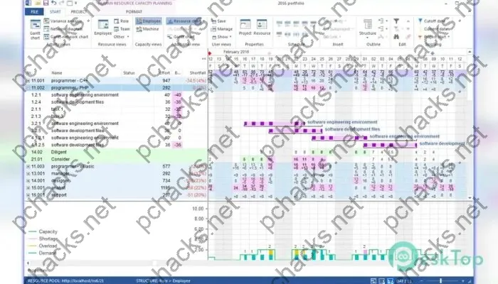 Rillsoft Project Crack 9.0.611.191 Free Download