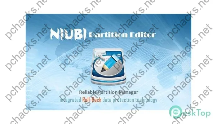 Niubi Partition Editor Activation key 9.9.2 Free Download