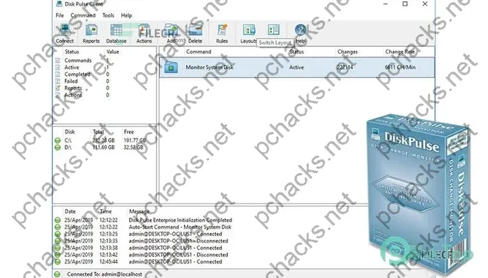 Disk Pulse Serial key v15.9.16 Free Download