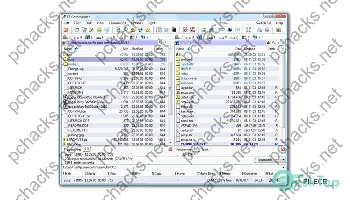 EF Commander Crack 24.03 Full Free Download