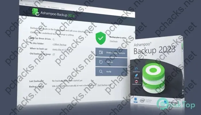 Ashampoo Backup 2023 Crack Free Download