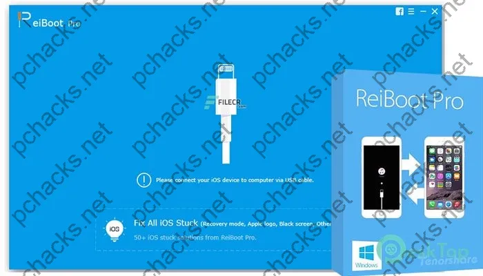 Tenorshare ReiBoot Pro Crack 10.10.8 Free Download