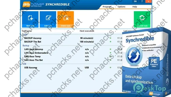 Synchredible Professional Activation key 8.108 Full Free