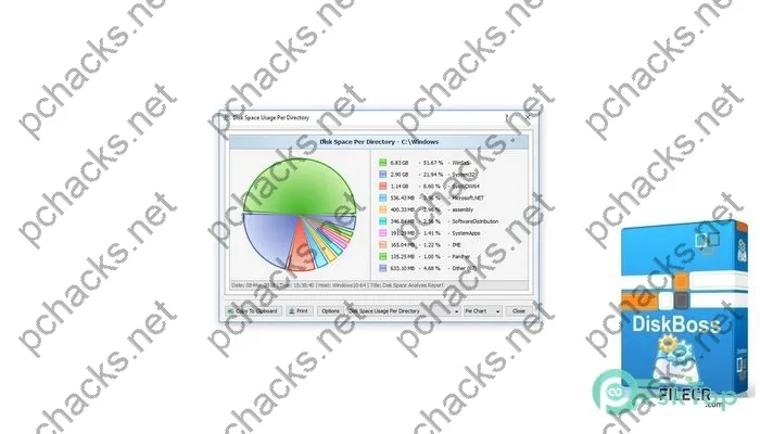 DiskBoss Crack 14.5.18 Free Download