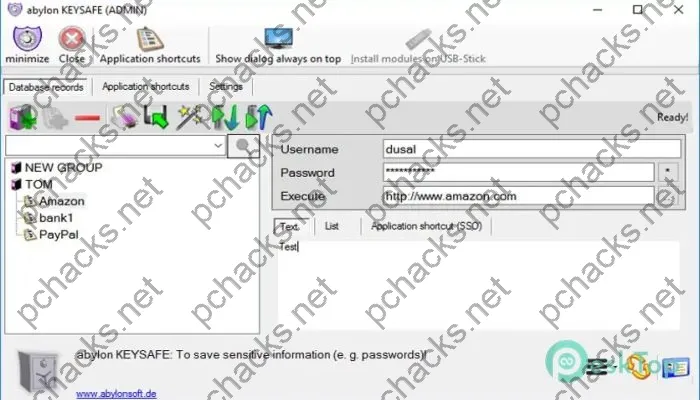 abylon KEYSAFE Crack 9.50 Free Download