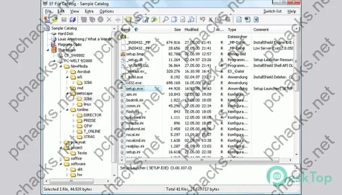 Ef File Catalog Activation key 23.11 Free Full Activated