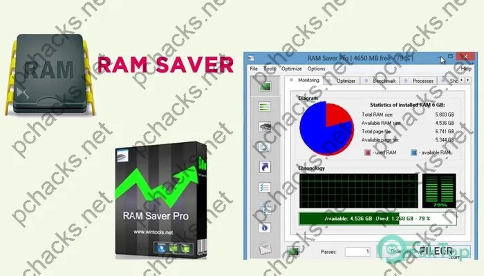 Ram Saver Professional Serial key 24.3 Free Download