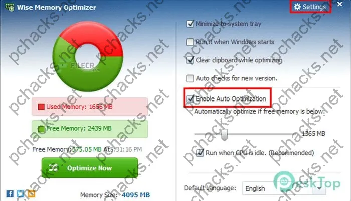 Wise Memory Optimizer Serial key 4.2.0.123 Full Free