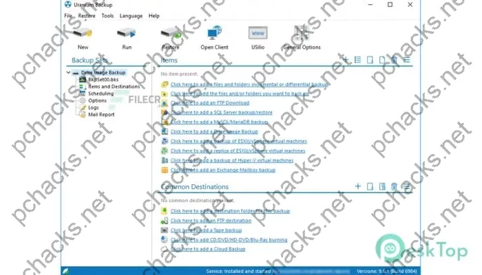 Uranium Backup Professional Crack 9.8.3.7412 Free Download