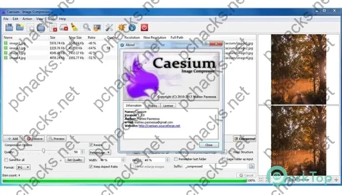 Caesium Image Compressor Crack 2.6 Full Free