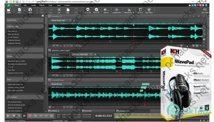 NCH WavePad Crack 19.11 Free Download