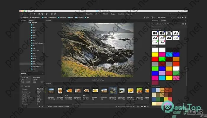 Adobe Bridge 2024 Crack 14.0.1.137 Full Free Activated