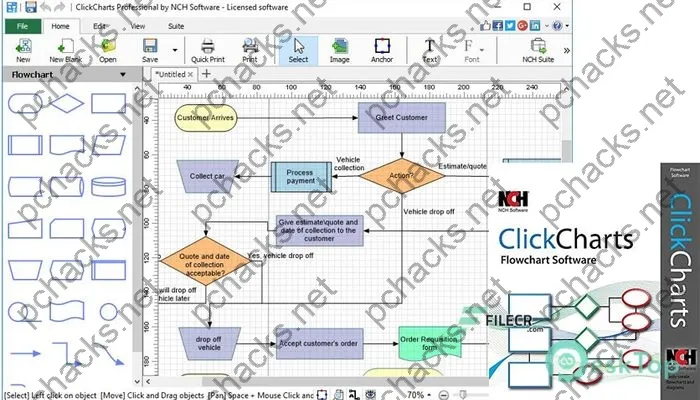 Nch ClickCharts Pro Crack 9.18 Free Download