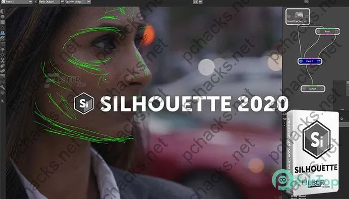 Boris FX Silhouette Crack 2023.5.4 Free Download